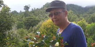 Kemarau, Supit Usul Langkah Konkret ke Pemerintah Pusat